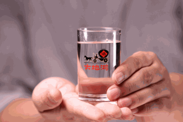 大地鸿红高粱酒